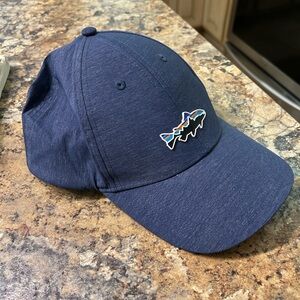 Patagonia Blue Cap with Logo